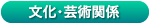 ぶんか・げいじゅつかんけい