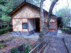 トイレ全景